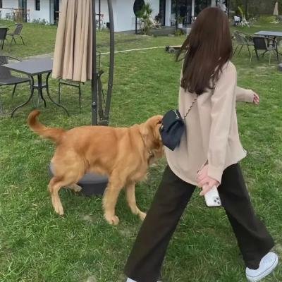 黑潮
